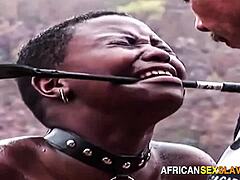 Submissive ebony painslaves whipped to tears