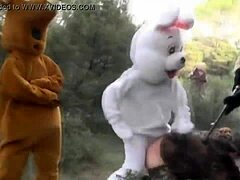 A naughty bunny in a music video